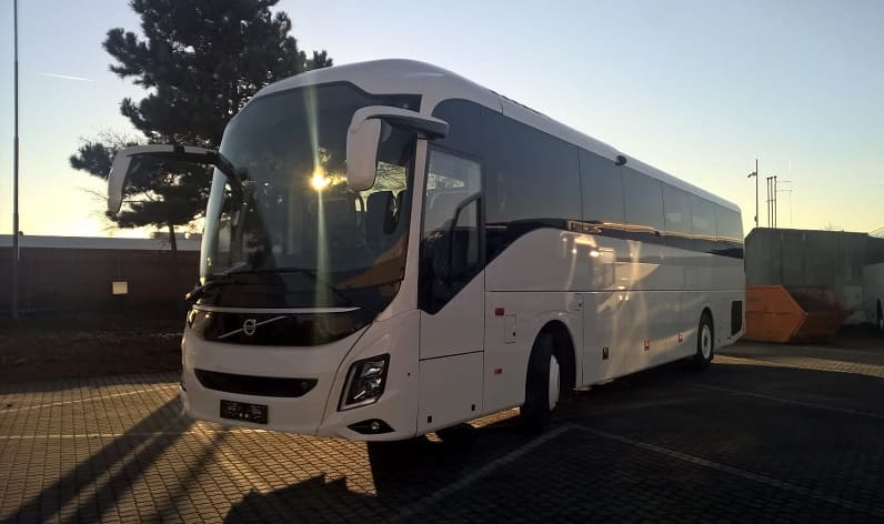 Lazio: Bus hire in Rome in Rome and Italy