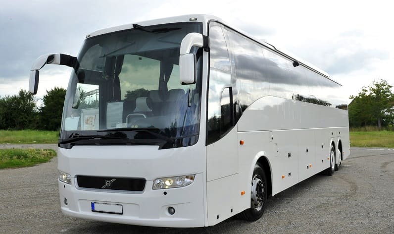 Lazio: Buses agency in Viterbo in Viterbo and Italy