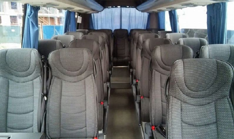 Italy: Coach hire in Tuscany in Tuscany and Florence