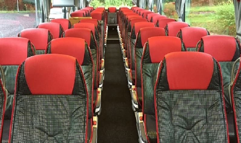 Italy: Coaches rent in Emilia-Romagna in Emilia-Romagna and Ravenna